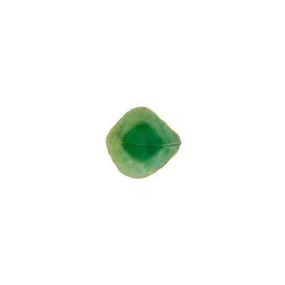 Costa Nova Dip Dish Leaf Riviera In Green
