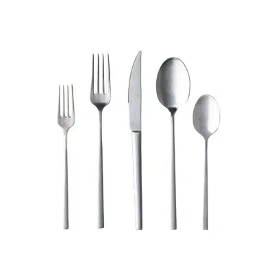 Costa Nova Flatware 5 Pieces In Brushed Stainless Steel
