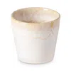 Costa Nova Grespresso Espresso Cups, Set Of 8 In Solid White