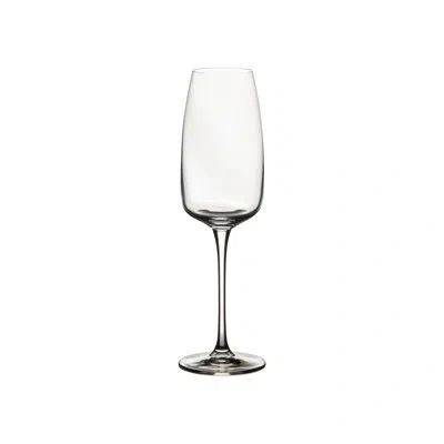 Costa Nova Isabel 9.80606658353447oz. Flute Set In Clear