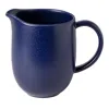 Costa Nova Pacifica Stoneware Pitcher In Blueberry