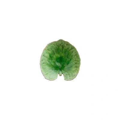 Costa Nova Riviera Alchemille Leaf, Tomate