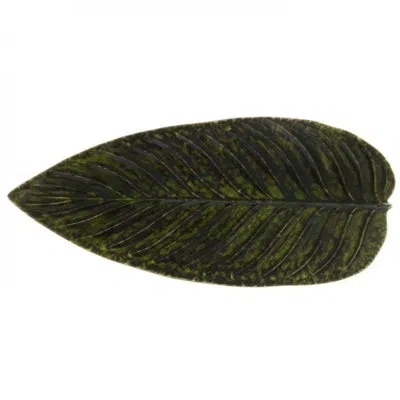 Costa Nova Riviera Forest 15.75" Strelizia Leaf In Forets