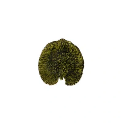 Costa Nova Riviera Forest 6.93" Alchemille Leaf