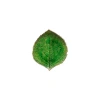 Costa Nova Riviera Hydrangea Leaf In Tomate