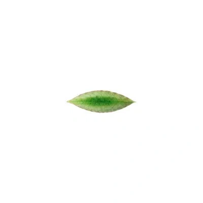 Costa Nova Riviera Tomate 7" Laurel Leaf