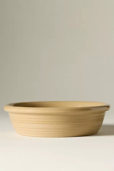 Costa Nova Scotia Stoneware Pasta Bowls, Set Of 4