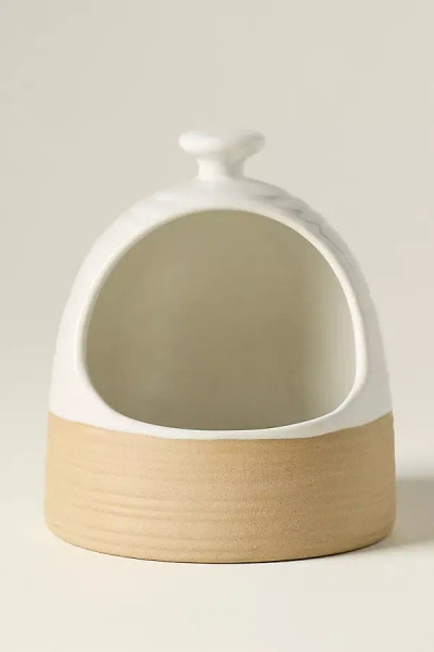Costa Nova Scotia Stoneware Salt Pig In Neutral
