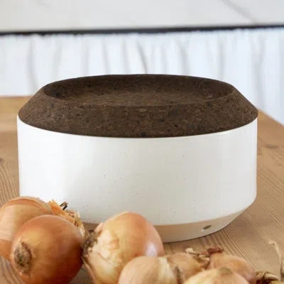 Costa Nova Stoneware Jar In Brown;white