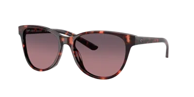 Costa Woman Sunglass 6s2012 Catherine In Brown