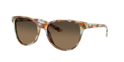 Costa Woman Sunglass 6s2012 Catherine