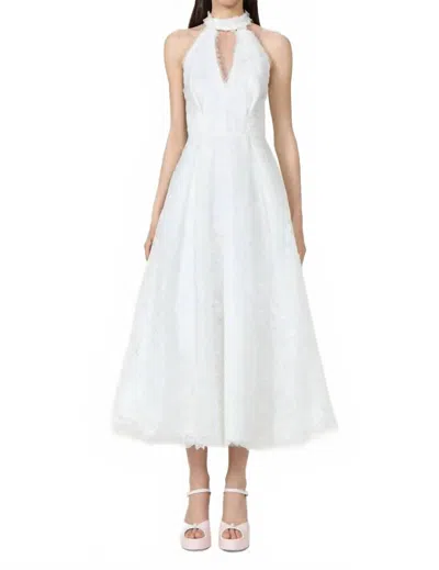 Costarellos Lavinia Embroidered Organza Halter Neck Midi Dress In Off White