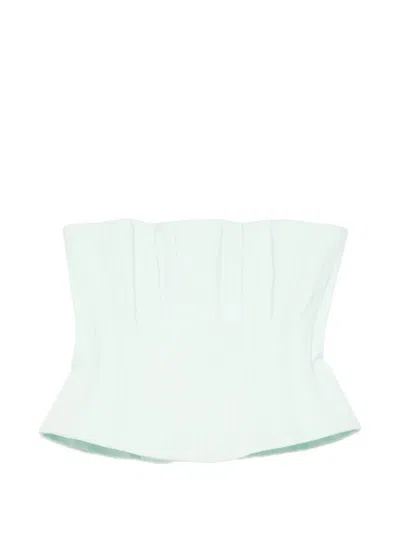 Costarellos Pleated Corset Top In Green