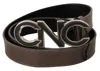 Costume National Brown Letter Logo Buckle Belt In Brown