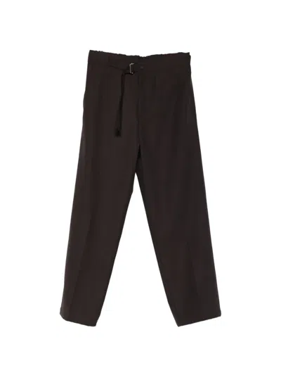 Costumein Belted-waist Trousers In Brown