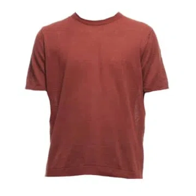 Costumein T-shirt For Man Sofia 29373 In Brown