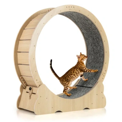 Costway 40 Inch Large Cat Exercise Wheel With Lockable Mechanism And Carpeted Runaway For Indoor Cats-natura In Brown