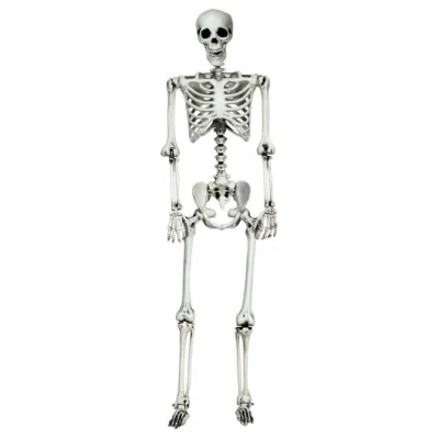 Costway 5.4 Feet Halloween Skeleton Life Size Realistic Full Body Hanging In Gray