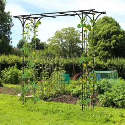 Costway 81'' W X 20.5'' D Metal Arbor With Gate In Black