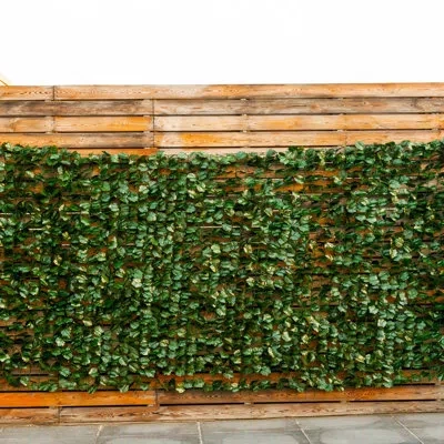 Costway 9.8 Ft. H X 4.9 Ft. W Polyethyiene Privacy Screen In Green