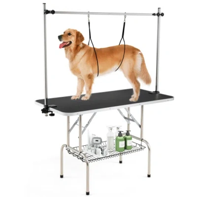 Costway Foldable Dog Grooming Table With Height Adjustable Arms-black In Gray