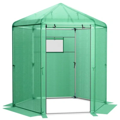 Costway Walk-in Hexagonal Greenhouse With Pe Cover And Metal Frame