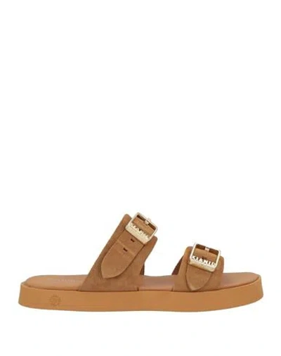 Cotazur Kianid X  Woman Sandals Camel Size 11 Leather In Brown