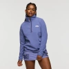 Cotopaxi Amado Fleece Pullover In Purple