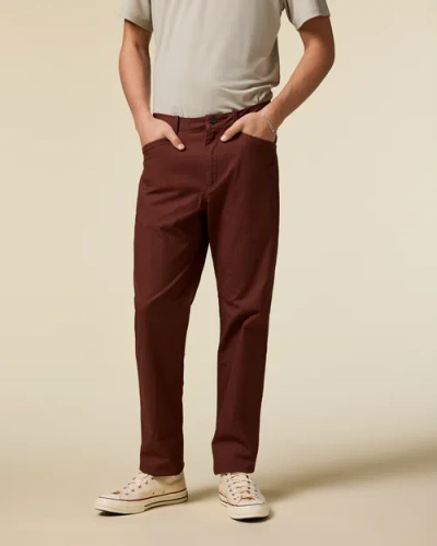 Cotopaxi Ambato Everyday Pant In Brown