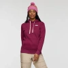 Cotopaxi-amigos-24 Llama Patch Pullover Hoodie In Purple