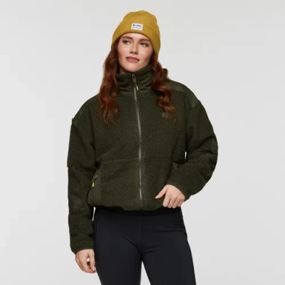 Cotopaxi Bacano Fleece Jacket In Green
