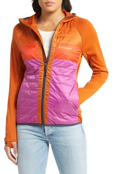 Cotopaxi Capa Hooded Water Repellent Puffer Jacket In Mezcal/foxglove