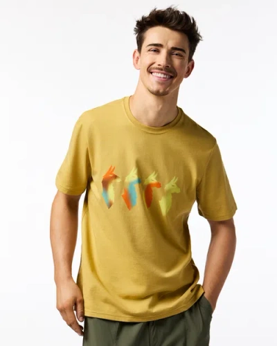 Cotopaxi Cuatro Bitmap T-shirt In Green