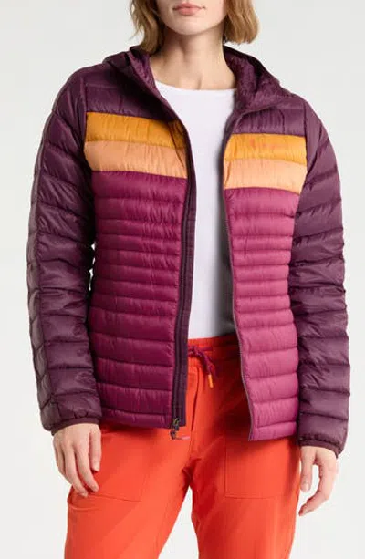 Cotopaxi Fuego 800-fill-power Down Hooded Jacket In Multi