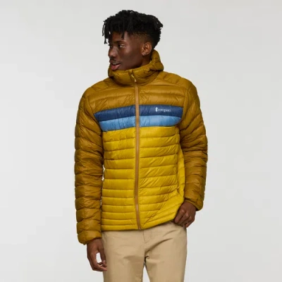 Cotopaxi Fuego Down Hooded Jacket In Gold