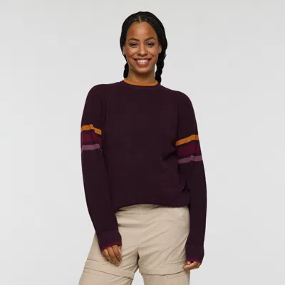 Cotopaxi Libre Waffle Crew Sweater In Brown