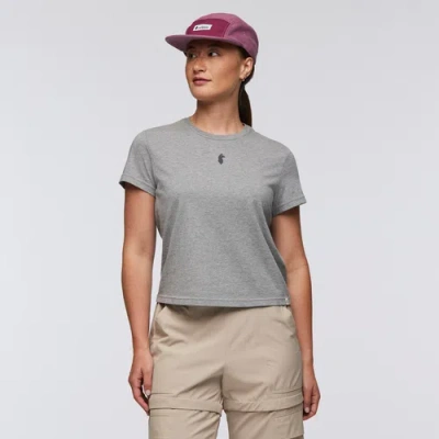 Cotopaxi Llama Icon T-shirt In Gray