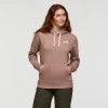 Cotopaxi Llama Patch Pullover Hoodie In Brown