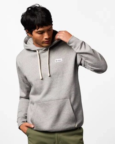 Cotopaxi Llama Patch Pullover Hoodie In Gray