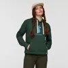 Cotopaxi Llama Pullover Hoodie In Green