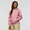 Cotopaxi Llama Pullover Hoodie In Pink