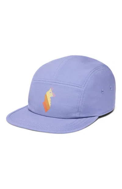 Cotopaxi Llama Stripes 5-panel Hat In Purple