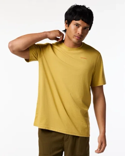 Cotopaxi Mountain Magic T-shirt In Brown