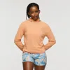 Cotopaxi Sombra Sun Hoodie In Brown