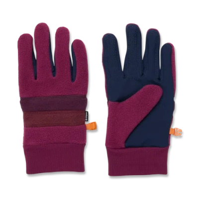 Cotopaxi Teca Fleece Gloves In Purple