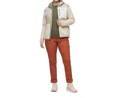 Cotopaxi Trico Hybrid Hooded Jacket In Oatmeal/cream In Gray