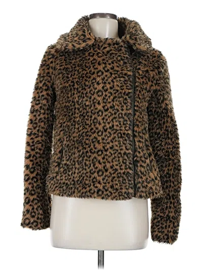 Pre-owned Cotton Candy Faux Fur Jacket In Brown