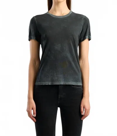 Cotton Citizen Standard Cotton Tee In Vintage Oasis In Multi