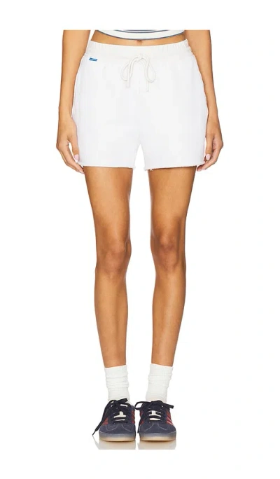Cotton Citizen The Boston Short