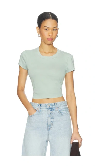 Cotton Citizen The Standard Baby Tee In Green